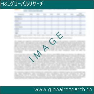 グローバルリサーチ調査レポートのイメージ